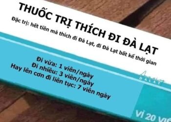 Mua cho mấy đứa hở xíu là đòi đi Đà Lạt
DaLatreviewtattantat