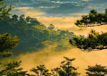 Mình đã săn mây ở Đà Lạt như thế nào? Note post này để hết dịch cùng đi săn mây …