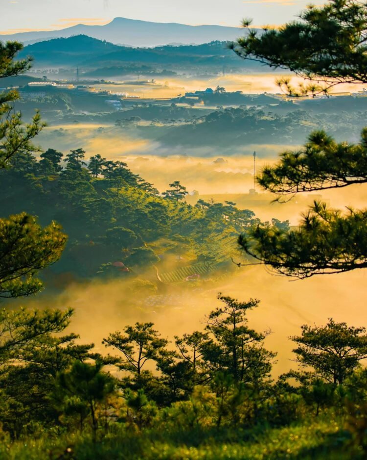 Mình đã săn mây ở Đà Lạt như thế nào? Note post này để hết dịch cùng đi săn mây …