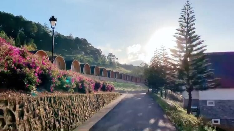 Nhất định phải có một chuyến đi chỉ để ghi lại những khung cảnh đẹp đến như thế …