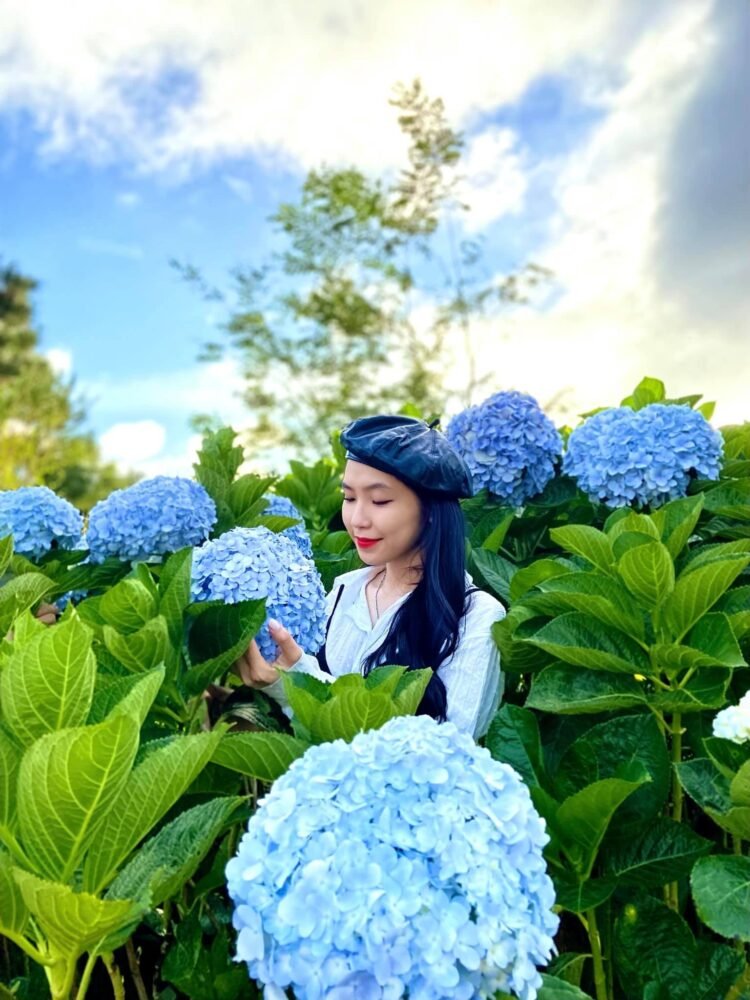 Nhớ Đà Lạt !!!