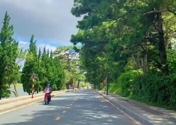 Trời Đà Lạt hôm nay có màu xanh  dalatreviewtattantat