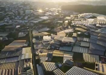 Hoàng hôn Đà Lạt mùa cô vy…
 ĐàLạtReviewTấtTầnTật