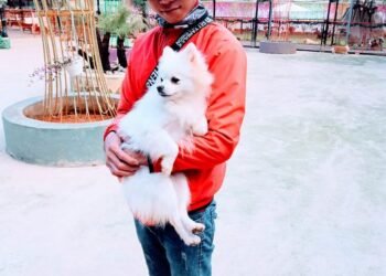 Qua dịch chắc chắn sẽ đi Đà Lạt…mà k bít là sẽ đi vs ai thôi…
 Bn nào iu Cún…