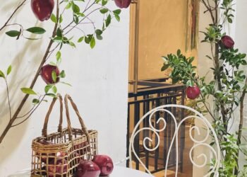 Trải nghiệm vườn cấm độc lạ duy nhất tại quán cafe ở sài gòn quận 3 nghe nói đan...