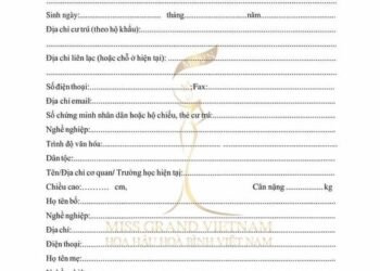 Thời tới chưa mấy chi em