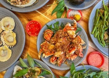 Các Bạn Tân Phú ơi!
[ 𝐎̂́𝐜 𝟐𝟎𝐊 - 𝐀̆𝐧 𝐓𝐡𝐚̉ 𝐆𝐚 𝐊𝐡𝐨̂𝐧𝐠 𝐋𝐨 𝐕𝐞̂̀ 𝐆𝐢𝐚́]
 Khai trương  ...