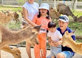 ĐI SAFARI GẦN XỊT SÀI GÒN BẠN ĐÃ THỬ  

 KHU DU LỊCH MỸ QUỲNH SAFARI

Cách TP Hồ...