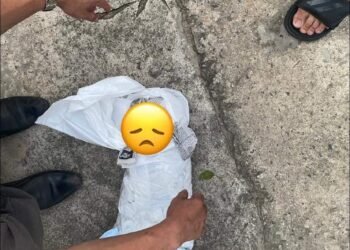 Thương con quá  Sáng nay Ngay cổng bệnh viện Mỹ Phước 2, Bến Cát - Bình Dương , ...