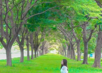 Một view siêu đỉnh cho bạn nào muốn chụp với hàng cây xanh như Hàn Quốc 
 View x...