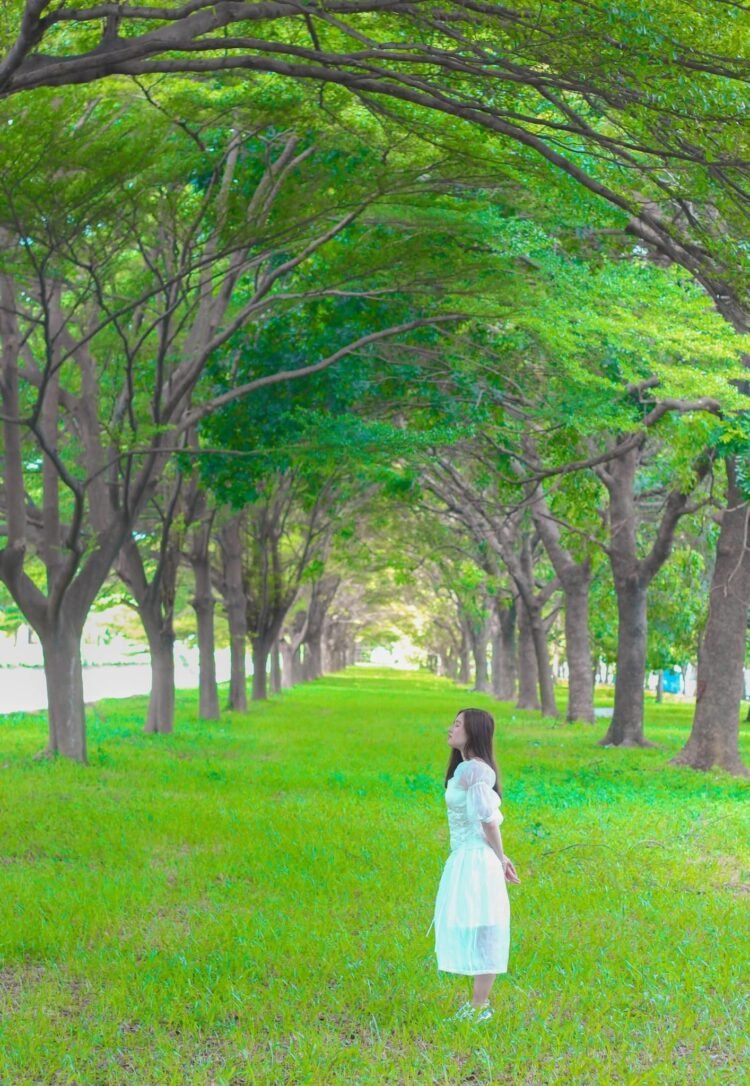 Một view siêu đỉnh cho bạn nào muốn chụp với hàng cây xanh như Hàn Quốc 
 View x...