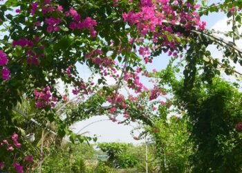 Nếu bạn đã quá ngột ngạt với cảnh kẹt xe khói bụi xô bồ thì ở đâu đó ngay trung...