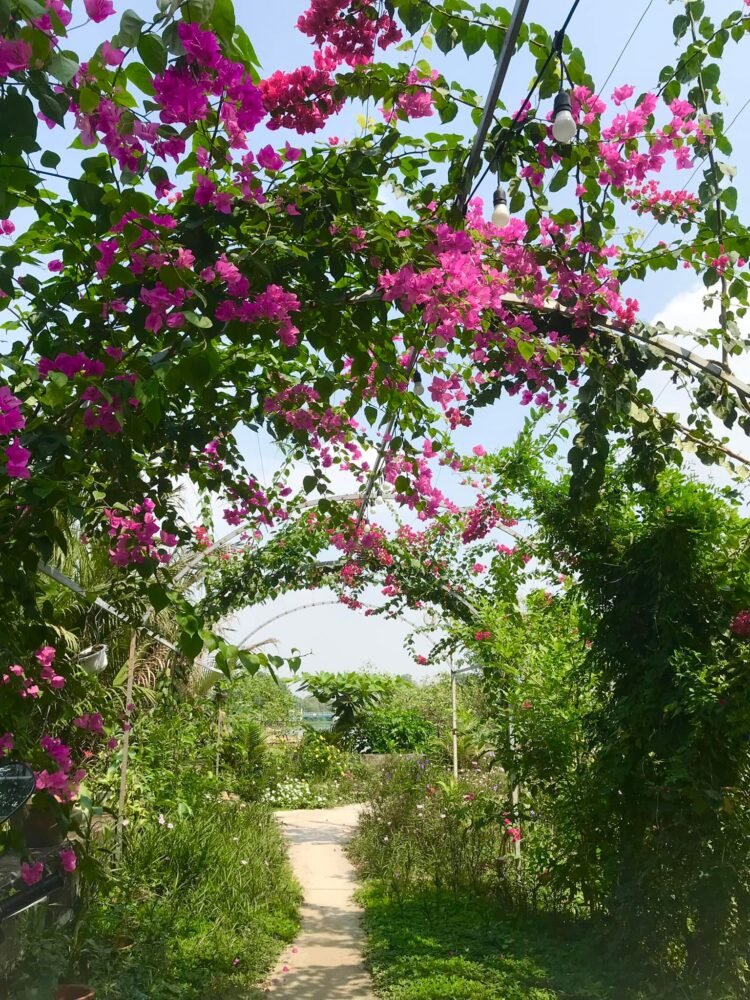 Nếu bạn đã quá ngột ngạt với cảnh kẹt xe khói bụi xô bồ thì ở đâu đó ngay trung...