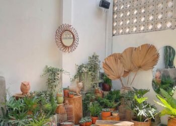 Chiêu coffee 
195 Phạm Văn Chiêu , Gò vấp
6:30 - 22:00
 26xu-48xu

 Nay ghé lại...