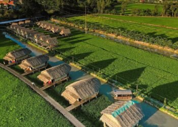 Đẹp ngất ngây "KDL SINH THÁI GIỮA ĐỒNG RUỘNG" bình yên hết nấc ở Đồng Tháp 

 Kh...