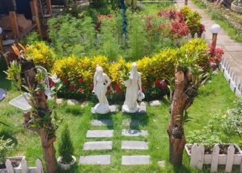 Jeunesse Dalat Chill Coffee

Một quán cafe xinh xẻo mang phong cách Đà Lạt tại T...