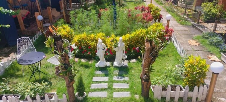 Jeunesse Dalat Chill Coffee
Một quán cafe xinh xẻo mang phong cách Đà Lạt tại T...