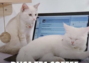 TOP 6 CÀ PHÊ THÚ CƯNG KHIẾN CÁC SEN MÊ ĐẮM 

𝗖𝗔𝗧𝗙𝗘
 119 Nguyễn Thị Minh Khai, Qu...