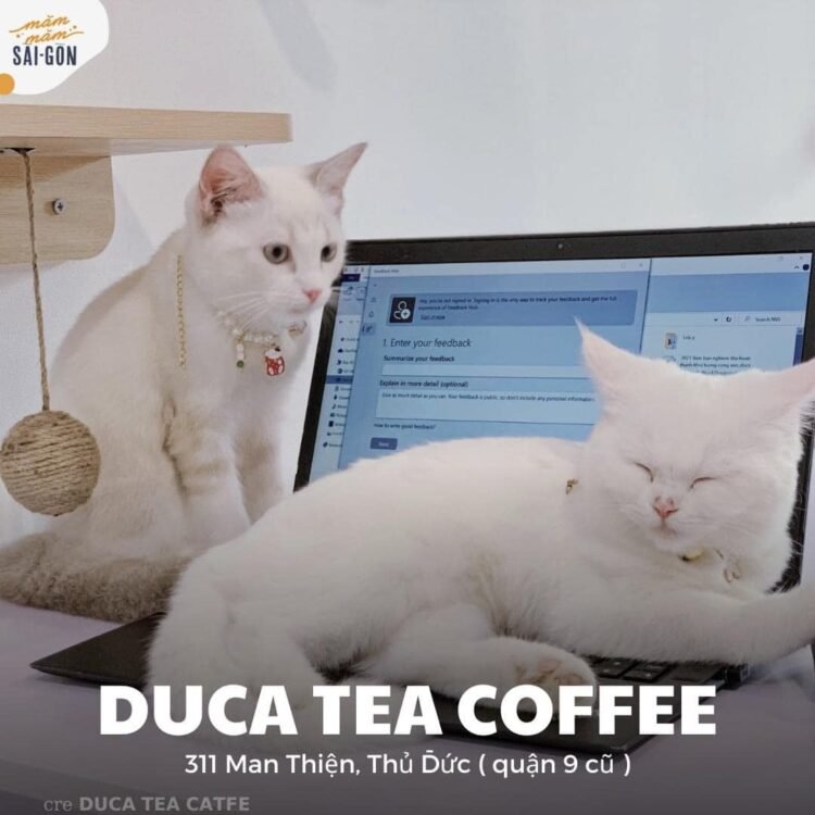 TOP 6 CÀ PHÊ THÚ CƯNG KHIẾN CÁC SEN MÊ ĐẮM
𝗖𝗔𝗧𝗙𝗘
119 Nguyễn Thị Minh Khai, Qu...