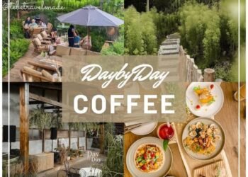 CÓ MỘT ĐÀ LẠT  THU NHỎ GIỮA LÒNG THÀNH PHỐ 

1⃣ Day By Day Coffee

 4 Phạ...