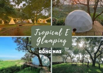 CÁC ĐỊA ĐIỂM GLAMPING GẦN SÀI GÒN VIBE SIÊU THÍCH ĐÁNG ĐỂ TRẢI NGHIỆM

1. TROPIC...