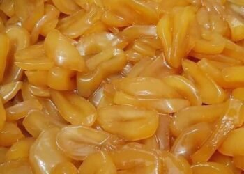 B10-09( thốt nốt rim )