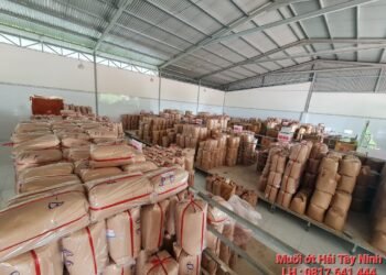 MUỐI ỚT HẢI TÂY NINH 
TUYỂN SỈ TRÊN CẢ NƯỚC 
Hơn 40 loại mặt hàng muối tôm đặc ...