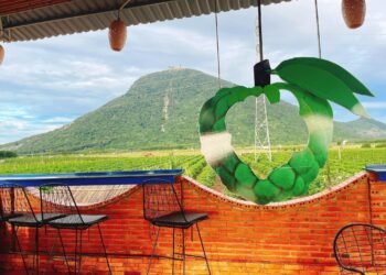 Đi đâu xa, gần sài gòn cái xẹt.....  Cuối Tuần mầm luôn và ngay nhé cả nhà! Xị...