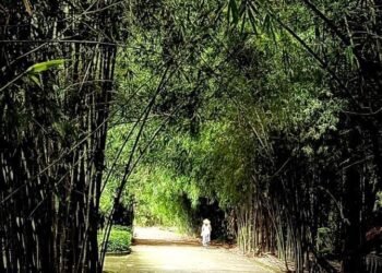 Làng tre Phú An Bình Dương nằm cách TP. HCM hơn 40km , đây không những là khu bả...