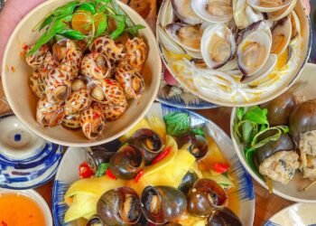 CẦM 200 CÀNH ĐI ĂN ỐC BÉO HÀ NỘI NHƯNG CHẤT LƯỢNG SÀI GÒN 

ỐC BÉO HÀ NỘI
 10 Bà...