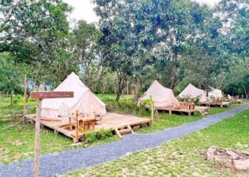 TRẢI NGHIỆM GLAMPING TẠI VƯỜN XOÀI CỔ THỤ CHỈ CÁCH SÀI GÒN 30KM
 Bật mí thêm một...