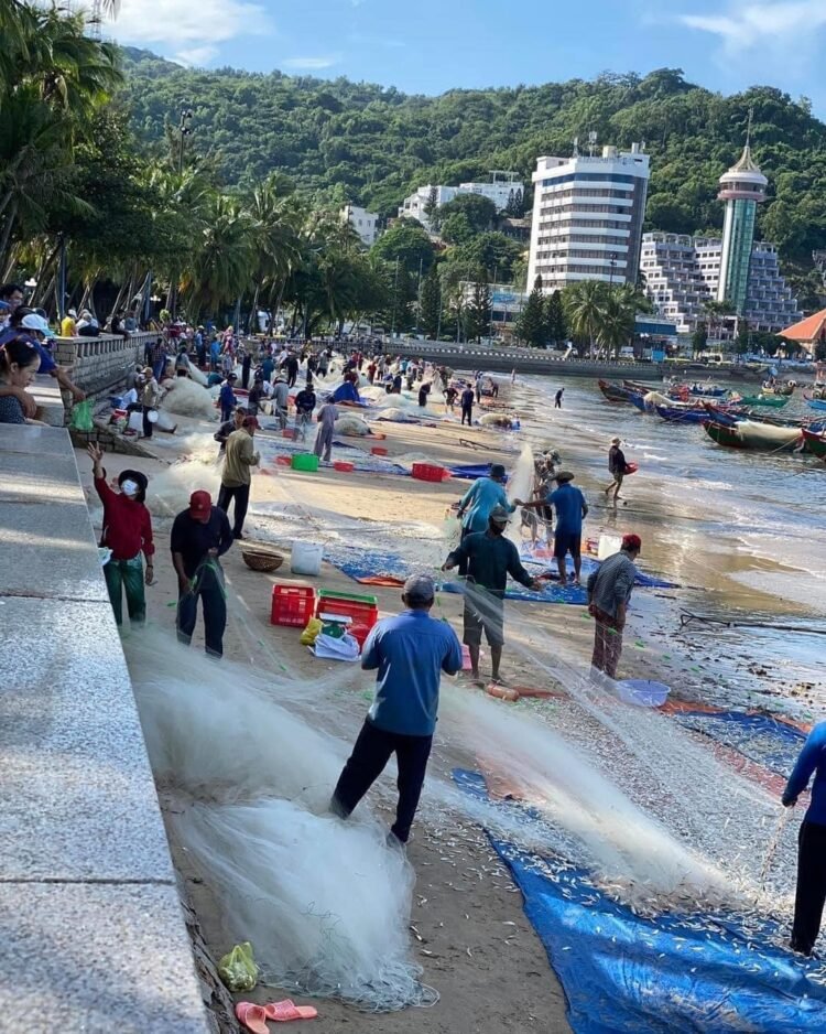Vũng Tàu vào mùa cá Mai.
 Làm gỏi, chiên giòn... hết nước chấm.
 Tram Pham