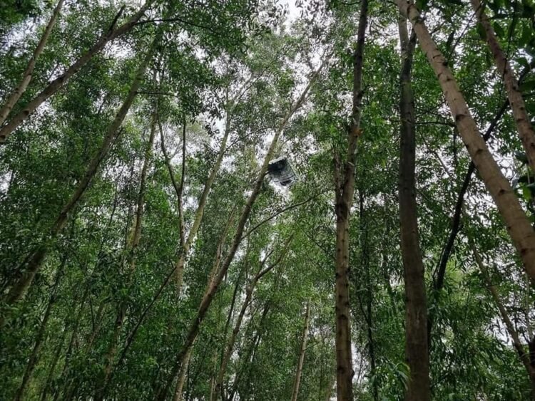 Nghe nói ở củ chi. Mọi người có biết vụ gì không ạ