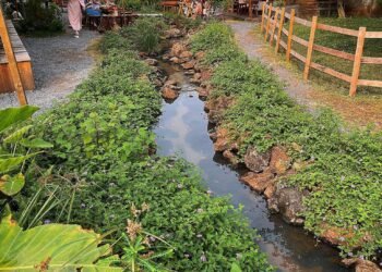 MỘT CHIẾC FARM COFFEE  SỐNG ẢO CỰC CHILL 

Một địa điểm dành cho những bạn thíc...