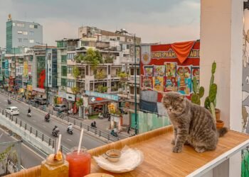 ĐI CAFE CHILL BẮT GẶP MẤY CON MÉO SIÊU IUUU

 KIMINO COFFEE & TEA 
16H — 23H
 (T...