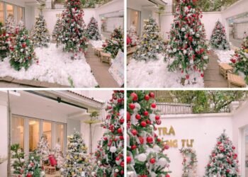 TỔNG HỢP CÁC QUÁN CÀ PHÊ TRANG TRÍ NOEL SỚM 

TIỆM TRÀ NHIÊU TỨ
01 Nhiêu Tứ P7 P...