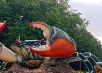 SET KÈO VỀ CÀ MAU ĐI LỄ HỘI CUA, THƯỞNG THỨC BUFFET CUA SẮP DIỄN RA THÁNG 12/202...