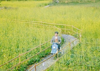 Chiếc quán hot nhất đà lạt ngay lúc này. Nằm ở Tà Nung cách trung tâm đà lạt 30k...