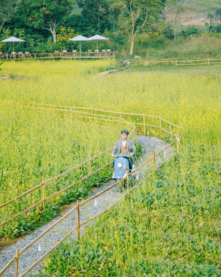 Chiếc quán hot nhất đà lạt ngay lúc này. Nằm ở Tà Nung cách trung tâm đà lạt 30k...