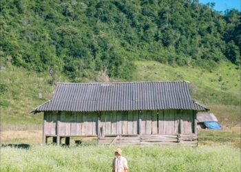 Mùa hoa cải trắng| Mộc Châu

Giai đoạn cuối tháng 11 đến trước Tết ta có lẽ là ...