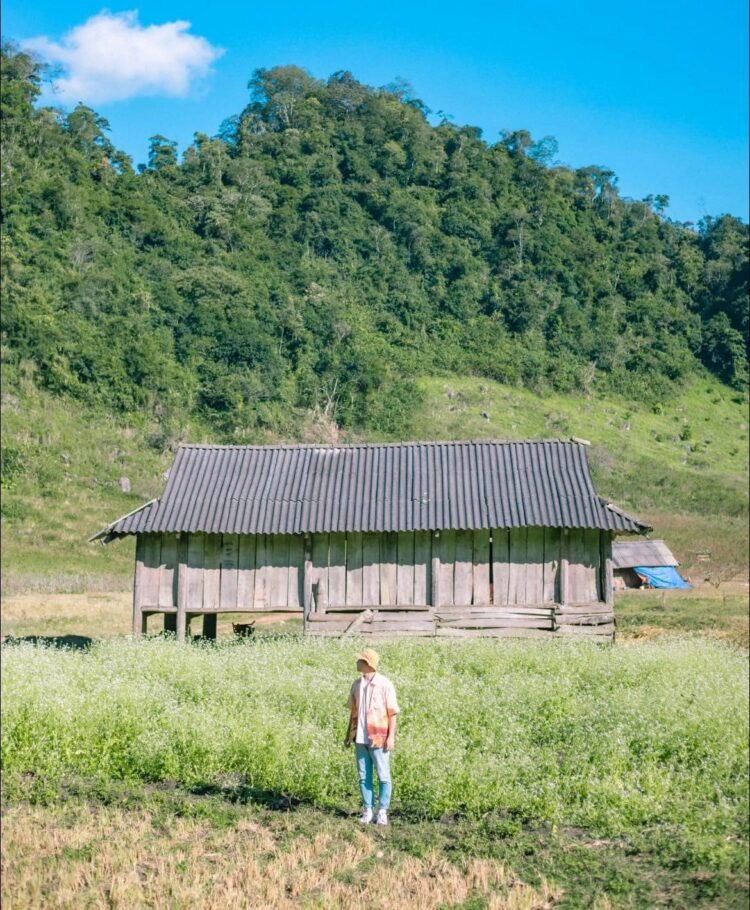 Mùa hoa cải trắng| Mộc Châu

Giai đoạn cuối tháng 11 đến trước Tết ta có lẽ là ...