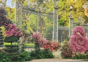 Sáng nay khúc Dinh Độc Lập đẹp quá
 By my phone 
 Cre: Phạm Thế Hiển