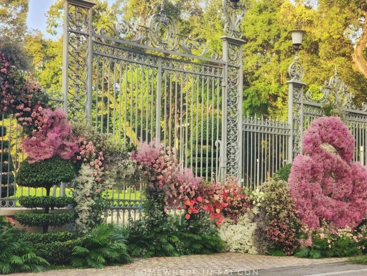 Sáng nay khúc Dinh Độc Lập đẹp quá
 By my phone 
 Cre: Phạm Thế Hiển