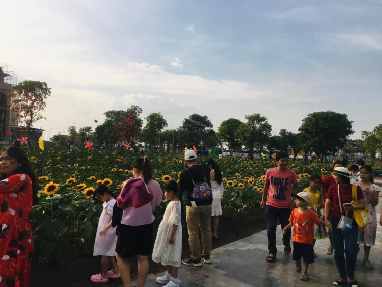 Vườn hoa hướng dương lớn nhất Sài Gòn ngày đầu mở cửa 
Nằm ở 375 Ql13 phường Hiệ...