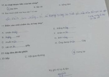 Xin làm công nhân mà bắt phân tích truyện kiều, giải toán hình học. 
 Cre: Văn T...