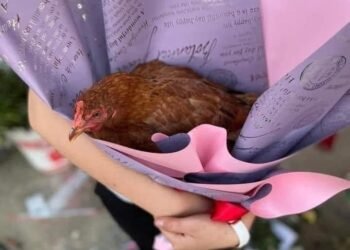 Cảm ơn aiu! Valentine ấm lòng hẳn