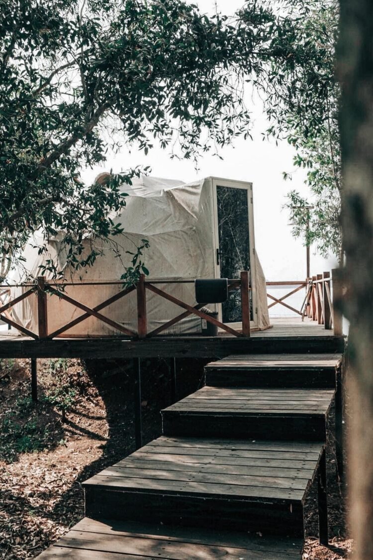 Phát hiện có một nơi “chữa lành tâm hồn” cực chill ở gần Bình Dương.  The Emma G...