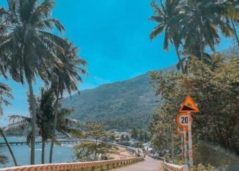 Khám phá và trải nghiệm tự túc đảo HÒN SƠN với chi phí chỉ từ 2tr
1. DI CHUYỂN ...