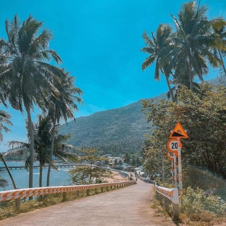 Khám phá và trải nghiệm tự túc đảo HÒN SƠN với chi phí chỉ từ 2tr
1. DI CHUYỂN ...