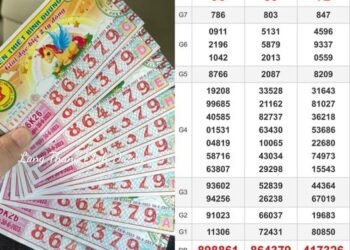 Đặt biệt về bình dương
 Xin vía anh em ơi
 Ảnh: LTBD